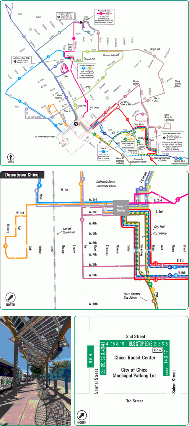 Bee Line Bus Schedules - Schedule Printable